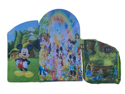 Mickey Mouse/Disney Arch Backdrop Covers-Rental