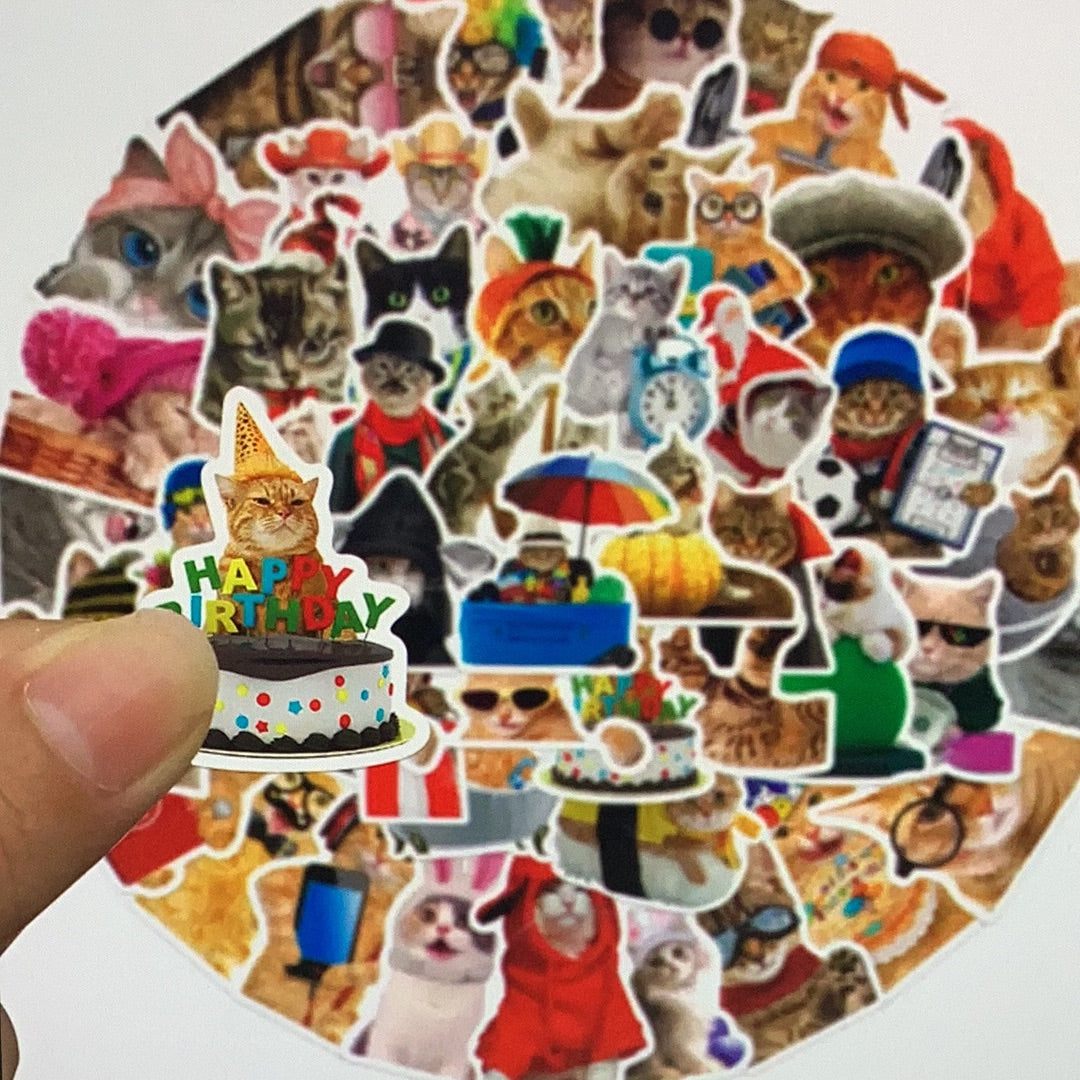 50pc Funny Cat Stickers