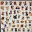 50pc Funny Dog Stickers