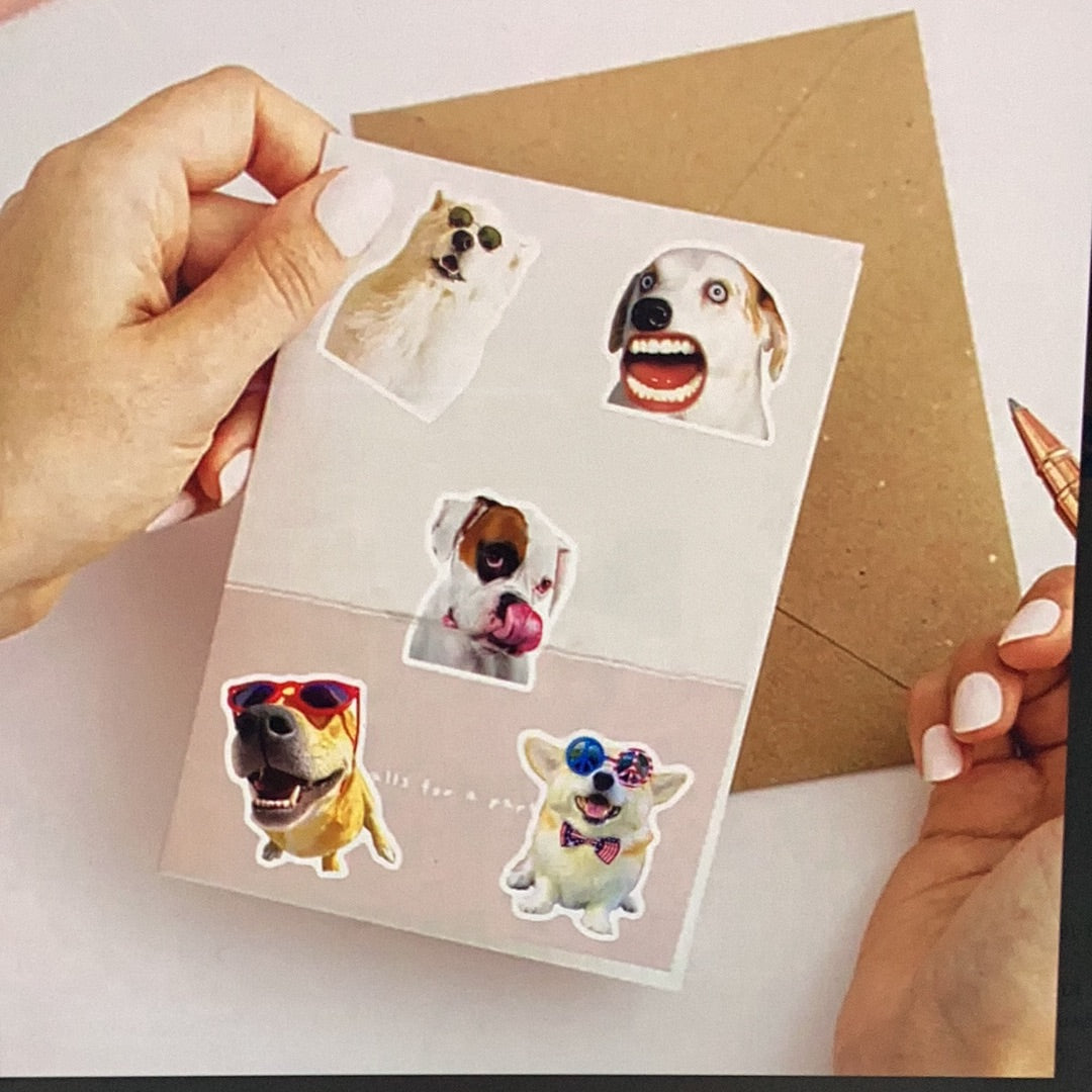 50pc Funny Dog Stickers