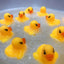 Mini Rubber Ducks