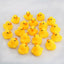 Mini Rubber Ducks